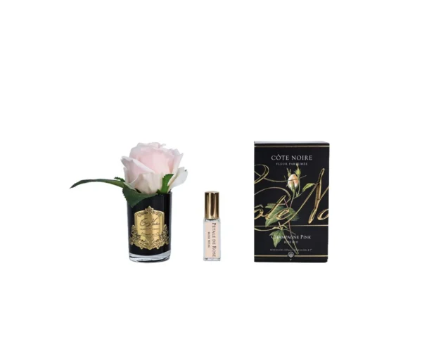 NEW – Cote Noire Perfumed Natural Touch Rose Bud – Black – Champagne Pink – GMRB55